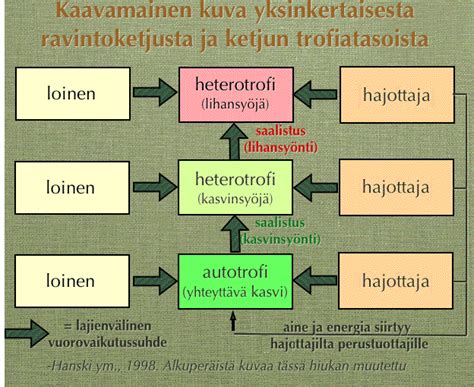   Vincularia: Kätkiekkäsälyystä ravintoketjujen moninaisuuteen!