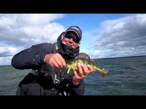  Walleye: Kalastajan ystävä ja syvän veden salaperäinen uimari!